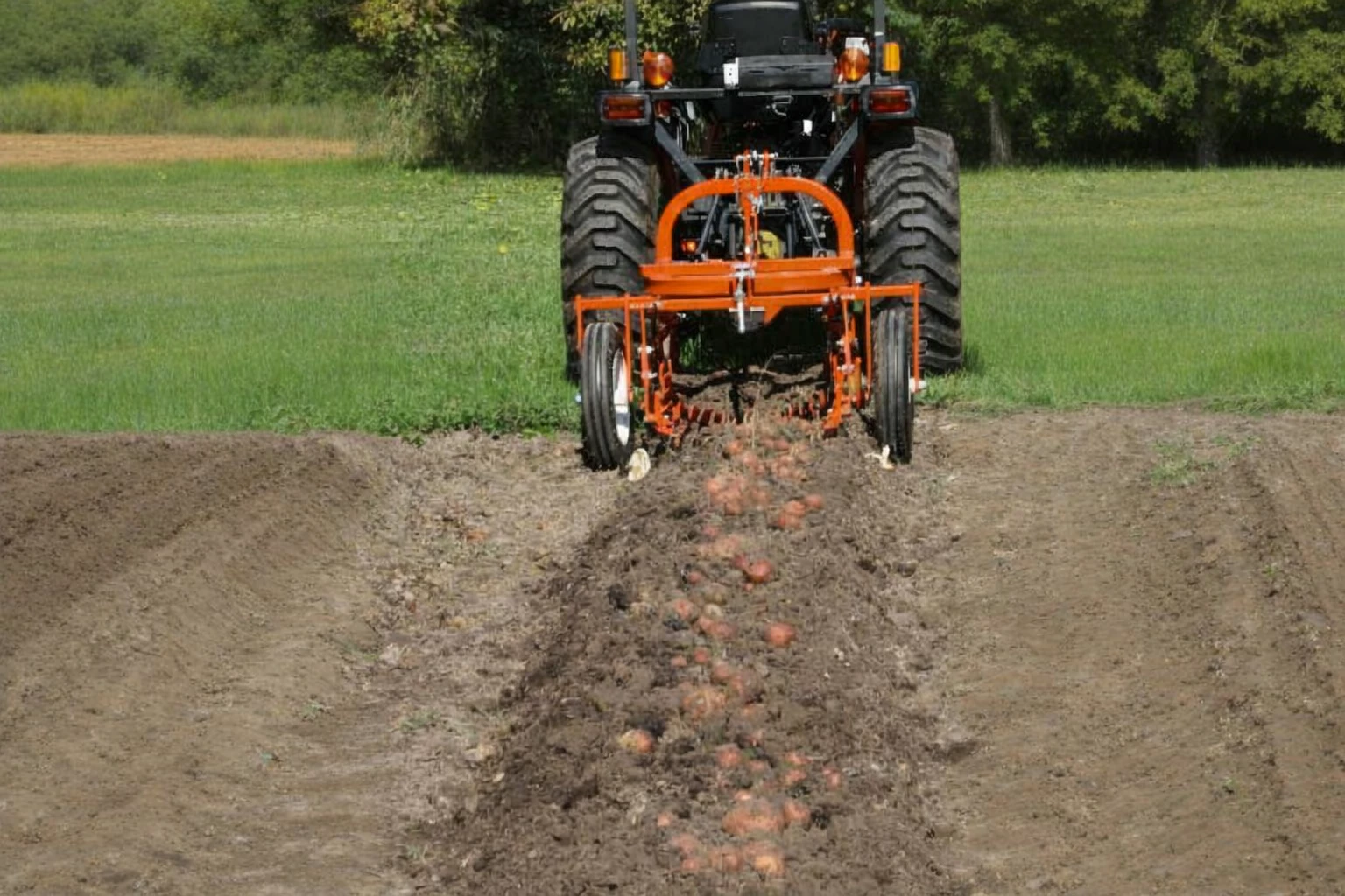 Potato harvester PTO shaft high-torque tuber separation